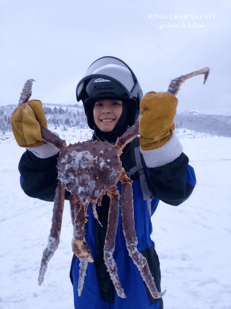 Kirkenes king crab 帝王蟹