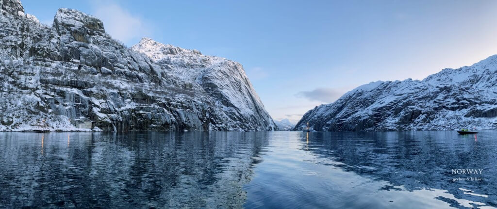Lofoten Norway 挪威 羅弗敦 海鷹與精靈峽灣之旅 Trollfjord and sea eagle safari